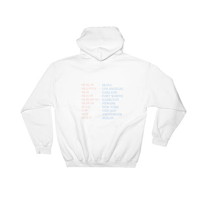 Bts love yourself hot sale tour hoodie